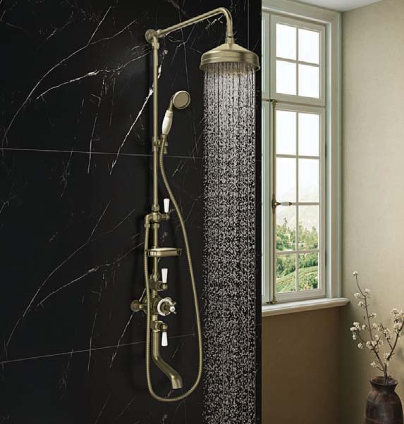 showering systems 1